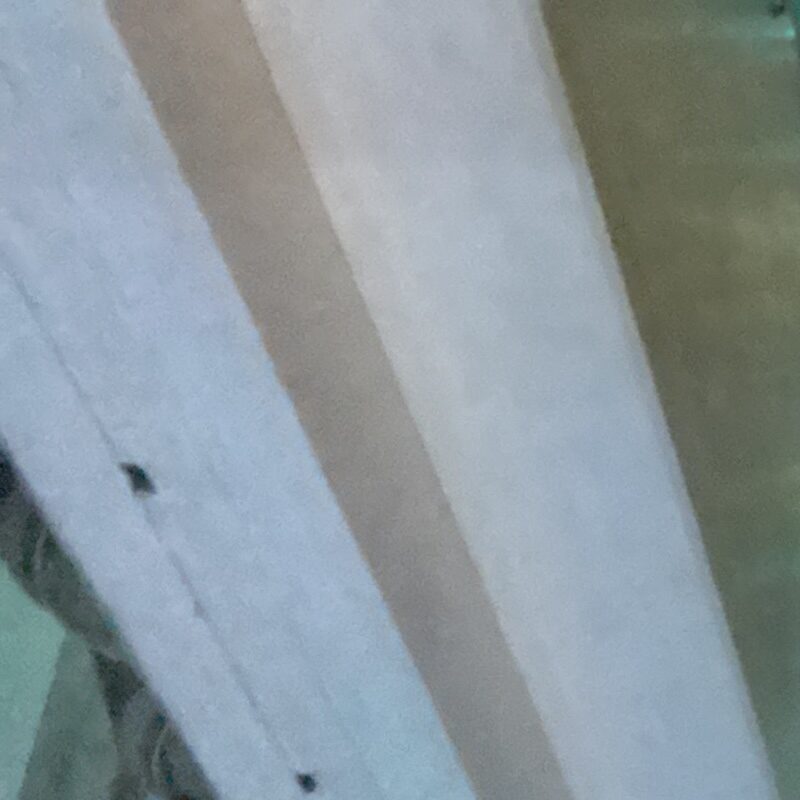 Foto del perfil de Granainobi